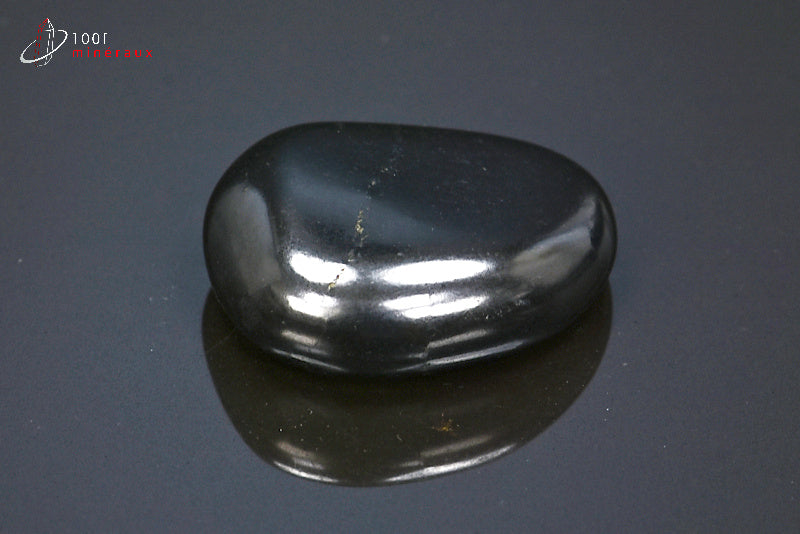 Minéral poli de shungite de Russie