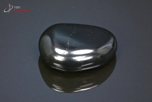 Minéral poli de shungite de Russie