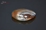 Agate zonée polie - Botswana - pierres polies 3,7 cm / 14g / BM76 - Vignette | 1001 minéraux