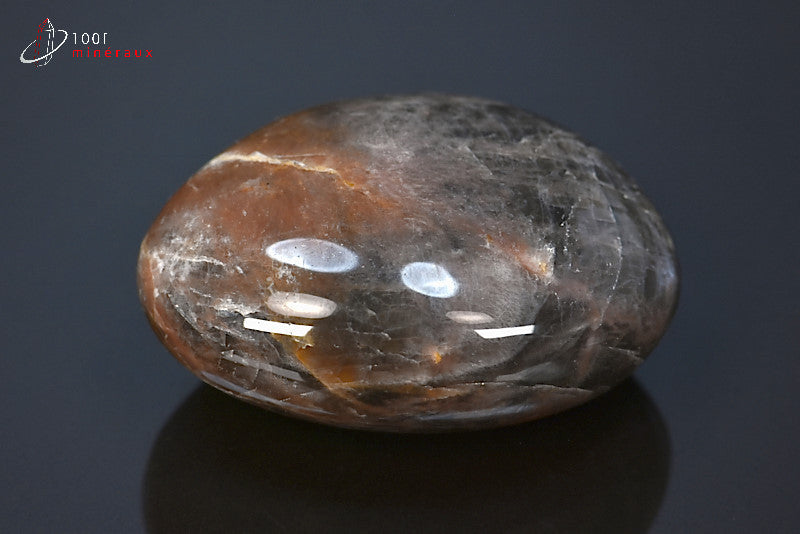 Minéral poli de pierre de lune noire de Madagascar