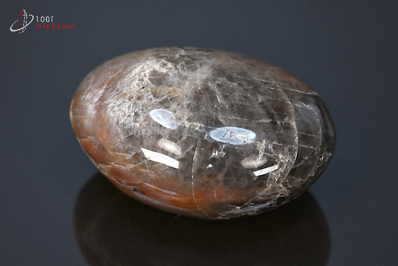 Minéral poli de pierre de lune noire de Madagascar