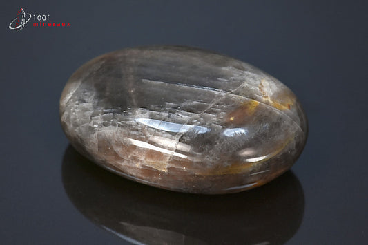 Minéral poli de pierre de lune noire de Madagascar