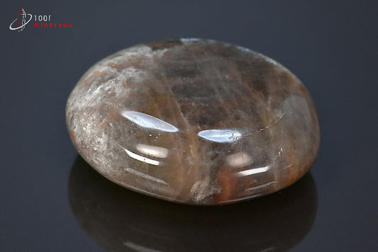 Minéral poli de pierre de lune noire de Madagascar