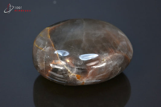 Minéral poli de pierre de lune noire de Madagascar