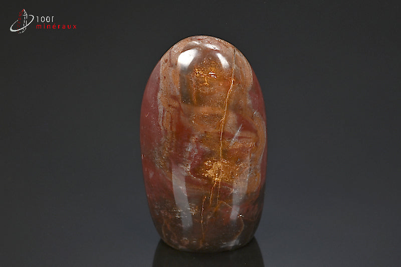 Fossile poli de bois pétrifié rouge de Madagascar