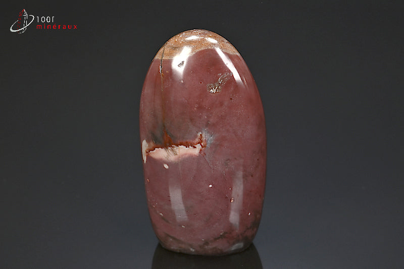 Fossile poli de bois pétrifié rouge de Madagascar