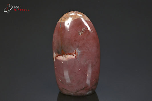 Fossile poli de bois pétrifié rouge de Madagascar