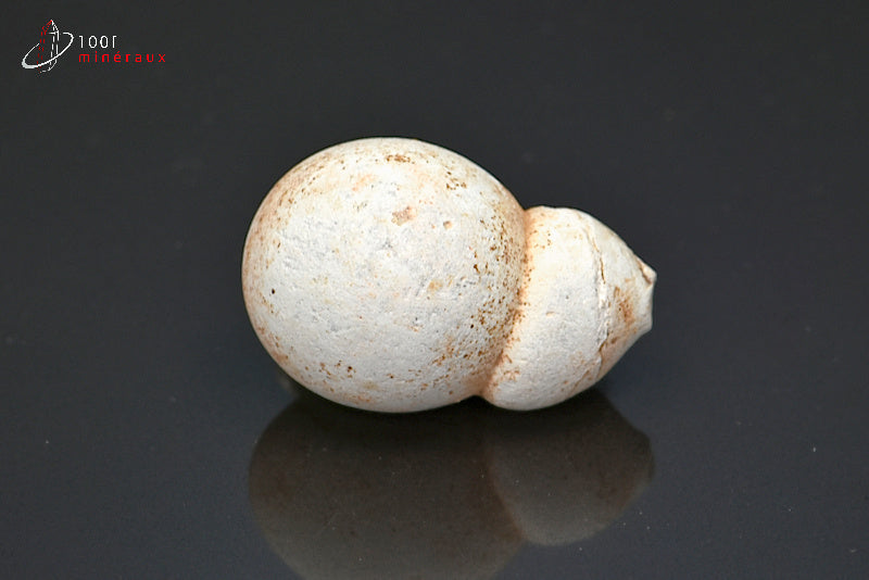 Minéral but de pierre des fées du Maroc