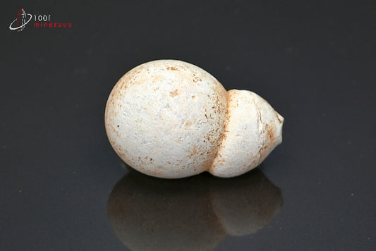 Minéral but de pierre des fées du Maroc