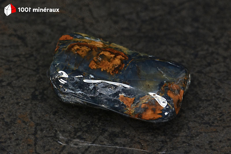 Pietersite polie Namibie - Face bleue intense, chatoyement Crocidolite silicifiée - 16 g - BN830
