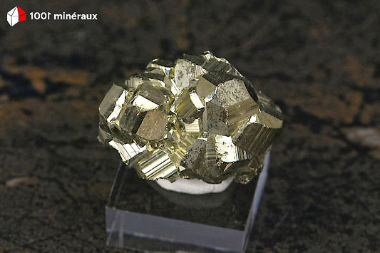 Pyrite cristallisée Pérou - Agglomérat de pyritoèdres dodécaédriques 4-10 mm - 31 g - BN912
