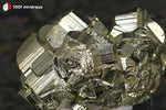 Pyrite cristallisée du Pérou (agglomérat de pyritoèdres 4-10 mm) - 31 g / BN912 - Vignette | 1001 minéraux