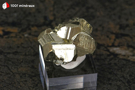 Pyrite cristallisée Pérou - 4 pyritoèdres dodécaédriques 11-15 mm sur socle - 28 g - BN913
