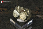 Pyrite cristallisée du Pérou (4 pyritoèdres 11-15 mm, sur socle) - 28 g / BN913 - Vignette | 1001 minéraux