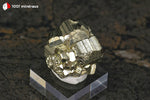 Pyrite cristallisée du Pérou (4 pyritoèdres 8-15 mm, sur socle) - 25 g / BN914 - Vignette | 1001 minéraux