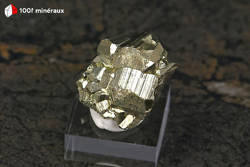 Pyrite cristallisée Pérou - Vue de profil sur socle, 2,6 cm - 25 g - BN914
