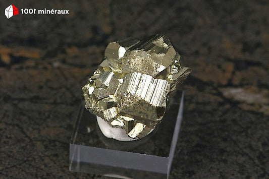 Pyrite cristallisée Pérou - Vue de profil sur socle, 2,6 cm - 25 g - BN914
