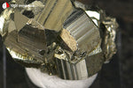 Pyrite cristallisée du Pérou (4 pyritoèdres 8-15 mm, sur socle) - 25 g / BN914 - Vignette | 1001 minéraux