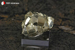 Pyrite cristallisée du Pérou (dizaine de pyritoèdres 5-12 mm, sur socle) - 25 g / BN915 - Vignette | 1001 minéraux