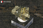 Pyrite cristallisée du Pérou (5 pyritoèdres 5-12 mm, sur socle) - 23 g / BN916 - Vignette | 1001 minéraux