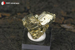 Pyrite cristallisée du Pérou (5 pyritoèdres 5-12 mm, sur socle) - 23 g / BN916 - Vignette | 1001 minéraux