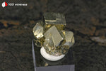 Pyrite cristallisée du Pérou (agrégat de 9 cristaux cubiques, sur socle) - 23 g / BN917 - Vignette | 1001 minéraux