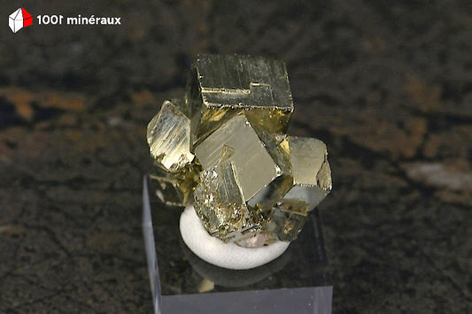 Pyrite cristallisée Pérou - Agrégat de 9 cristaux cubiques striés sur socle - 23 g - BN917
