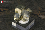 Pyrite cristallisée du Pérou (agrégat de 9 cristaux cubiques, sur socle) - 23 g / BN917 - Vignette | 1001 minéraux