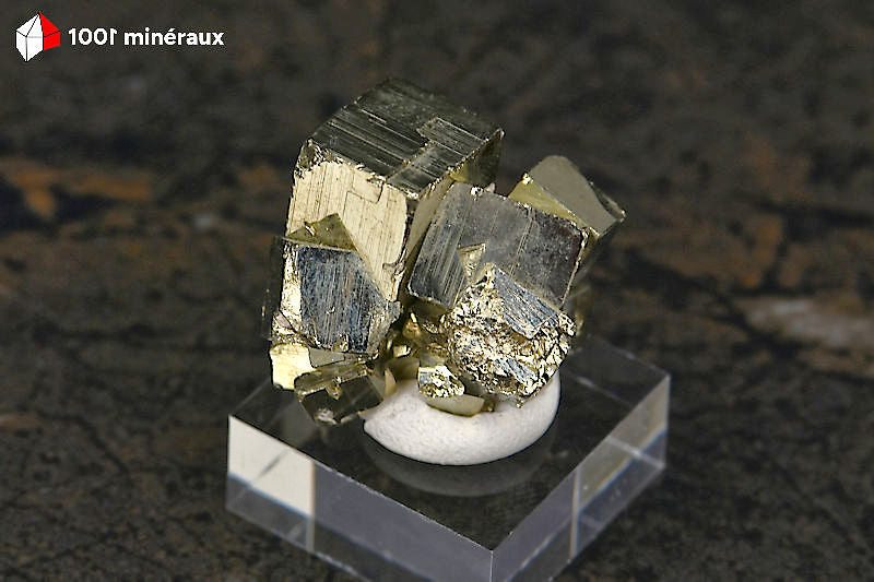 Pyrite cristallisée Pérou - Vue de profil sur socle, agrégat 2,6 cm - 23 g - BN917
