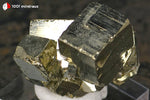 Pyrite cristallisée du Pérou (agrégat de 9 cristaux cubiques, sur socle) - 23 g / BN917 - Vignette | 1001 minéraux