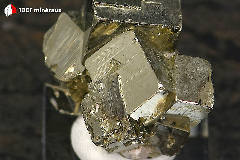 Pyrite cristallisée Pérou - Détail de l'éclat métallique doré des cristaux cubiques - 23 g
