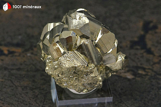 Pyrite cristallisée Pérou - Nombreux grands pyritoèdres dodécaédriques 6-17 mm - 93 g - BN925
