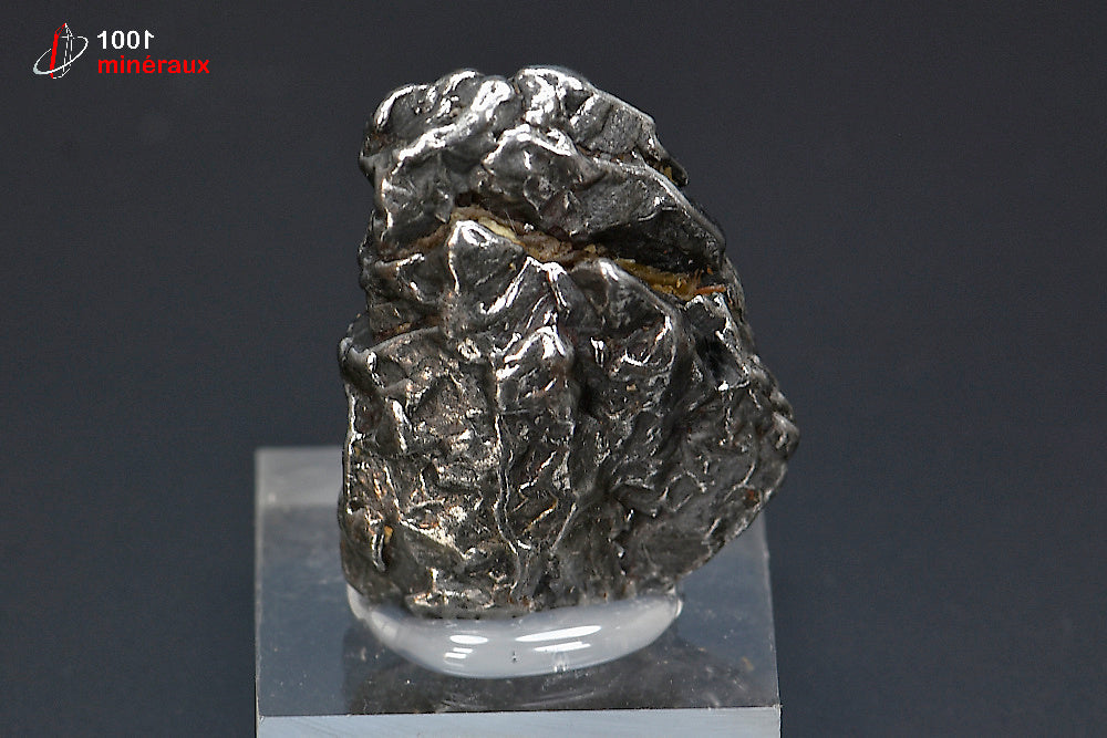 Météorite ferreuse Campo del Cielo d'Argentine