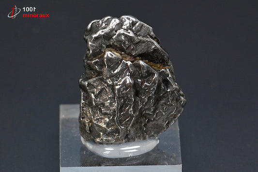 Météorite ferreuse Campo del Cielo d'Argentine