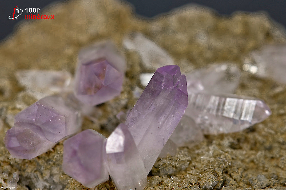 Améthyste Vera Cruz du Mexique - Détail de l'apex violet caractéristique - 54 g