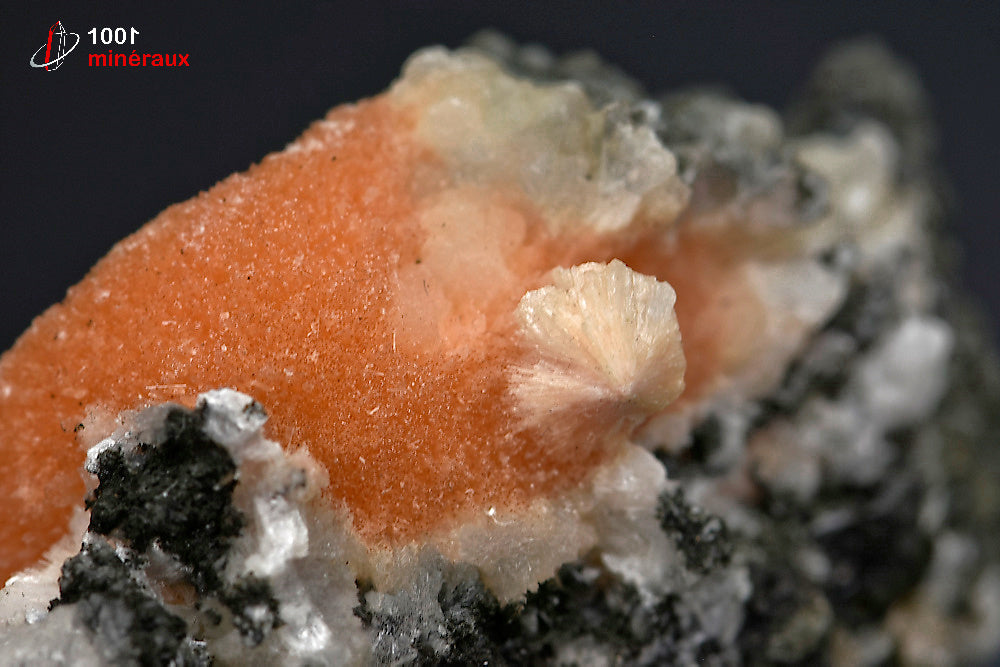 Minéral cristallisé de thomsonite orange d'Inde