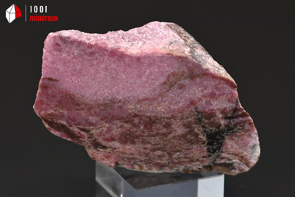 Minéral poli de Rhodonite de Madagascar