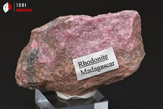 Minéral poli de Rhodonite de Madagascar