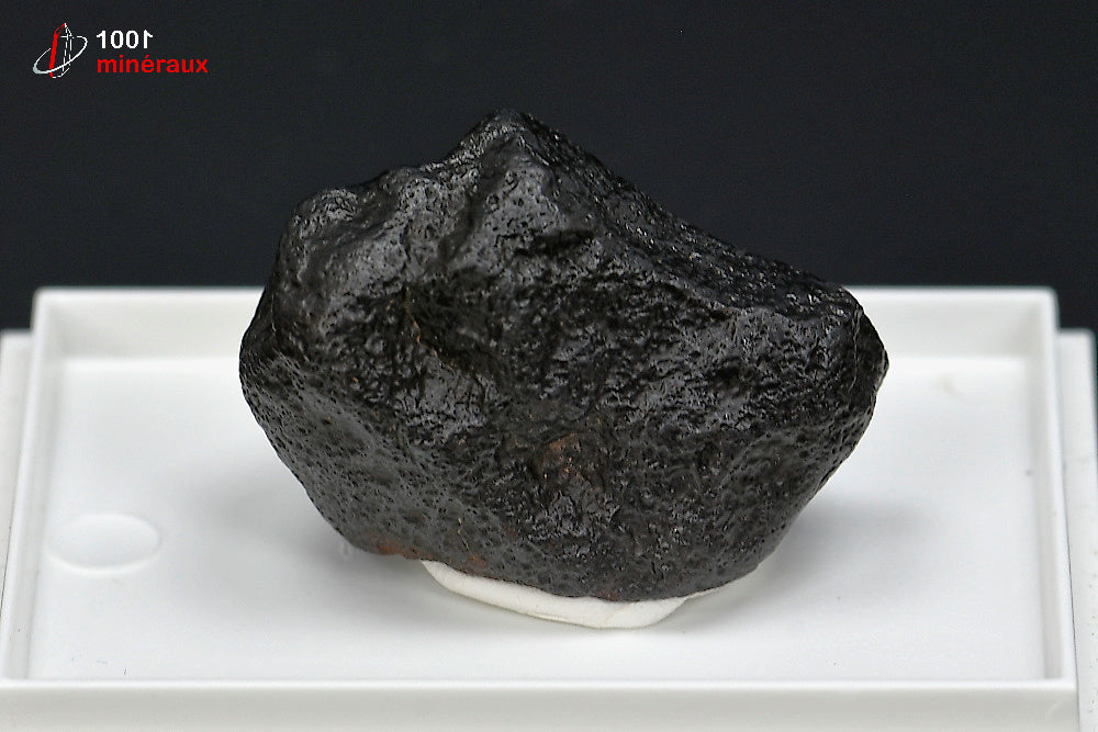 Météorite chondrite NWA869 du Maroc