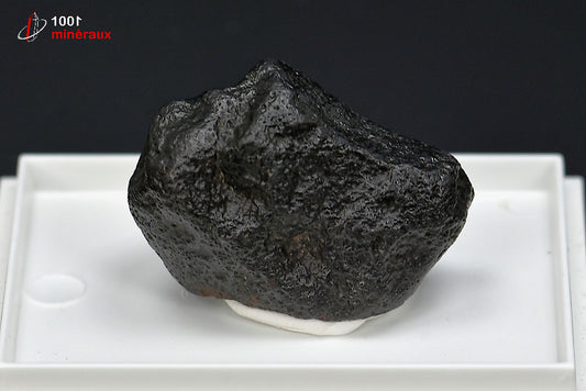 Météorite chondrite NWA869 du Maroc