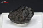 Météorite chondrite NWA869 du Maroc - 3,4 cm - 32 g / BP332 - Vignette | 1001 minéraux