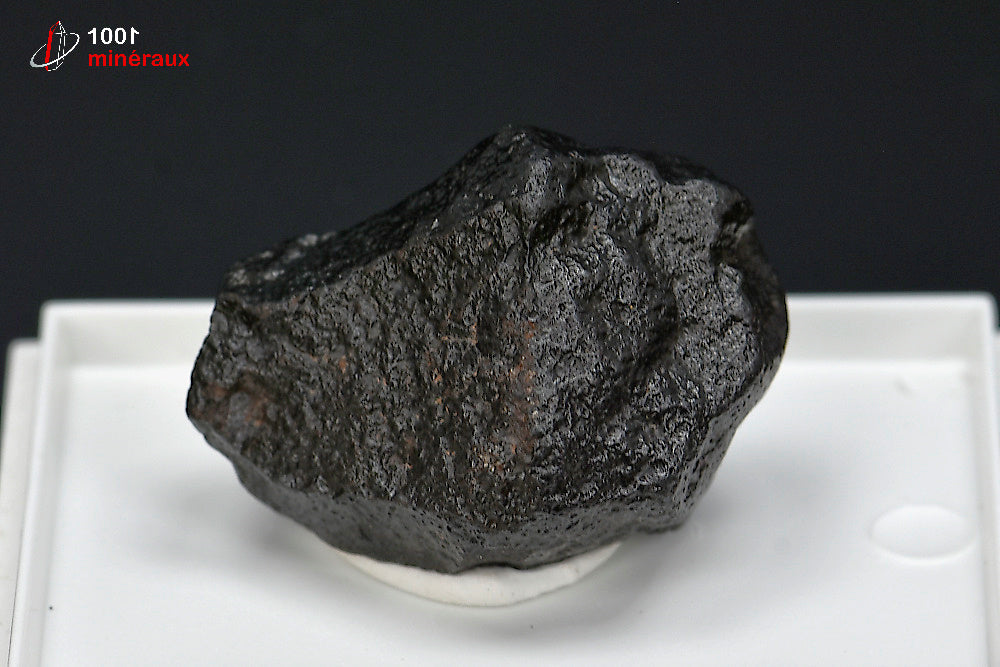 Météorite chondrite NWA869 du Maroc