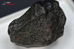 Météorite chondrite NWA869 du Maroc - 3,4 cm - 32 g / BP332 - Vignette | 1001 minéraux