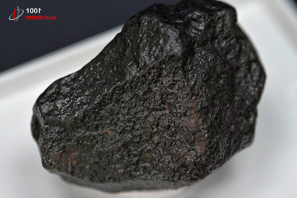 Météorite chondrite NWA869 du Maroc
