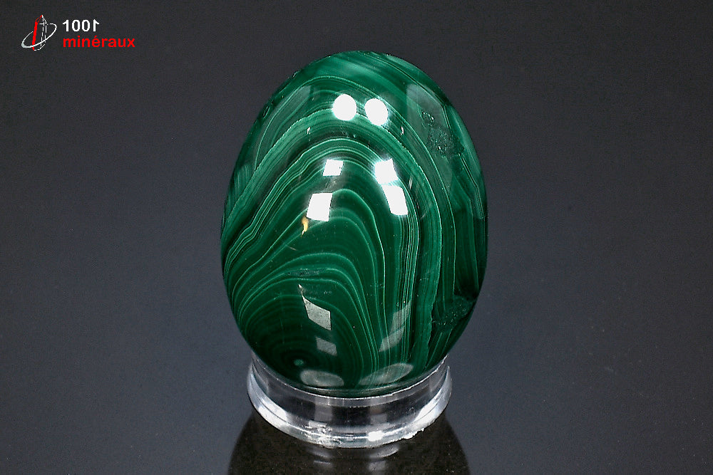 Malachite polie en œuf RDC - Vue de profil avec socle - 182 g - BP43