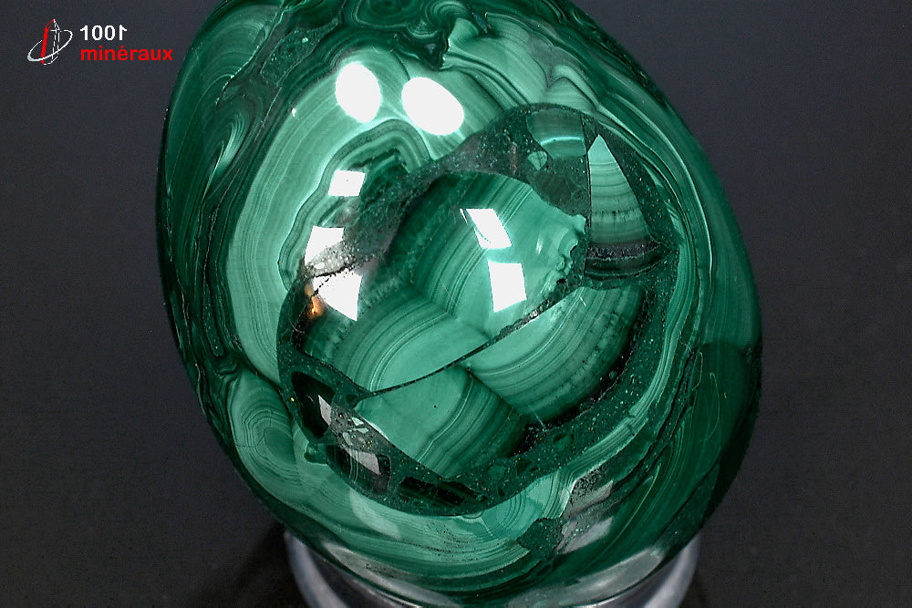 Malachite polie en œuf RDC - Vue de dessus, bandes concentriques - 182 g