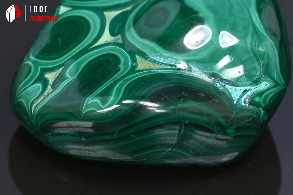 Minéral poli de malachite verte de République démocratique du Congo en forme libre
