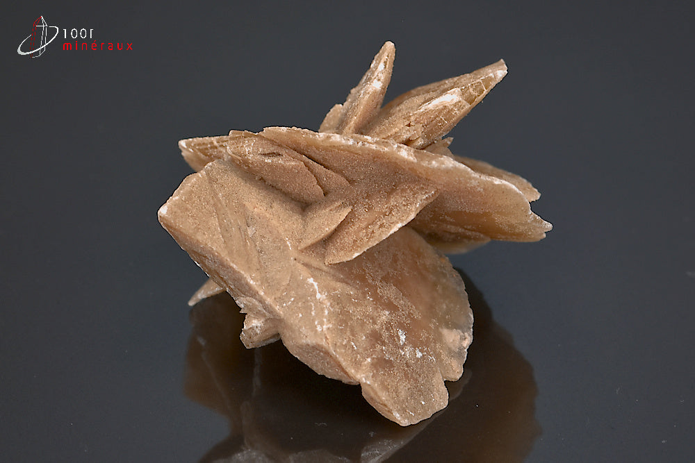 Minéral cristallisé de rose des sables du Sahara