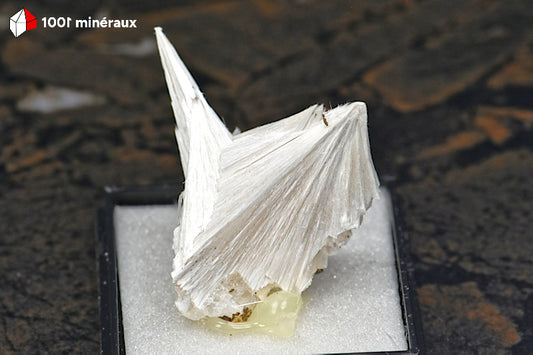 Pectolite de Saint-Pandelon (Landes) - Silicate blanc dans boîtier BQ114.