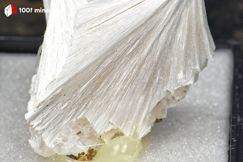 Détail de la texture fibreuse blanche de la Pectolite de Saint-Pandelon.